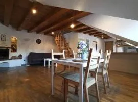 PRIVATE SAUNA & 4 bedrooms Old Town Rooftop Apartment