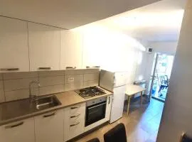 Apartment Ana