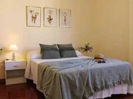Piso Castelao con terraza y aparcamiento privado