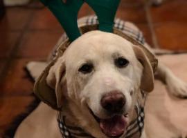 Casa Rural La Picota, hotel in Valverde de la Vera
