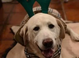 Casa Rural La Picota