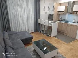 Deluxe apartment Jelena