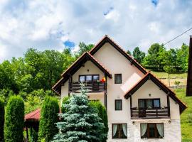 Pensiunea Poienita, alojamento de turismo rural em Albac