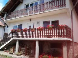 APARTMAN PAVELIĆ