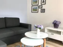 Komfort Appartement - Am Reitersberg