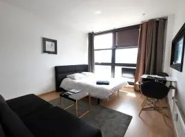 Appartement Gare Lille Europe