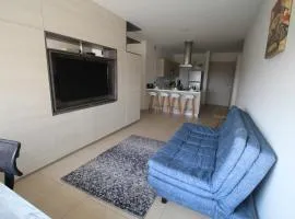 Premier Apartment Downtown 4 Guests 1604