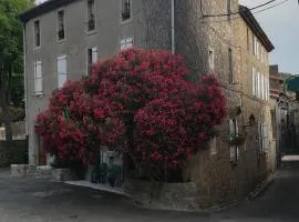 Chez Shona