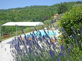 Villa Mario, piscina privata,aria cond,immersa nel verde,campagna Toscana, hotel con parcheggio a Pistoia