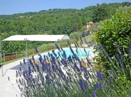 Villa Mario, piscina privata,aria cond,immersa nel verde,campagna Toscana