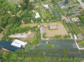 Maison en Bambou Phong-Le Vent