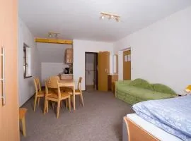 Pension Studenov