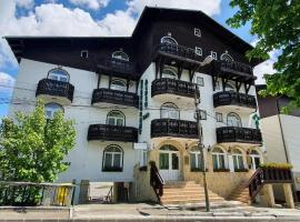 Pensiunea Alpin Predeal – hotel w mieście Predeal