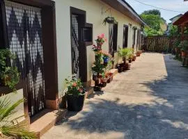 Casa Ghemus Costinesti