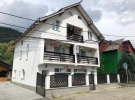Pensiunea Alyna, hôtel à Borşa