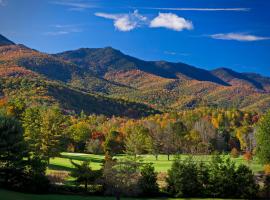 Mt Mitchell Cabin Rentals, хижа в Busick