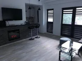 Luxury Apartament Craiova Central