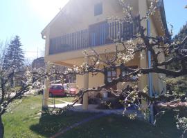 Dedinje, Cottage in Jagodina