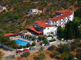 Hotel Paradise, hotel in Vassilias