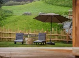 Luxury Naturperle Haus Alpenprinzessin helles Holzhaus zentral , modern & großräumig