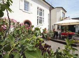 Bio-Weingut, Gästehaus und Kräuterhof, budjettihotelli kohteessa Flomborn