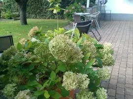 Ferienwohnung Kirschblüte