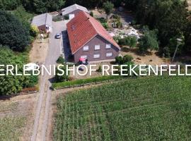 Erlebnishof Reekenfeld Wohnmobilstellplatz, camping in Barßel