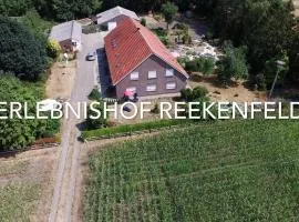 Erlebnishof Reekenfeld Wohnmobilstellplatz