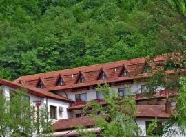 Hotel McPietroasa