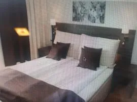 Apartment 24, Hotell