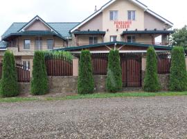 Pensiunea Alessia, bed and breakfast en Piatra Neamţ