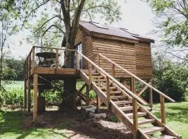 Romantic Woodland Chalet