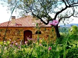 Villa Nigro