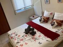 City Comfortable Apartment