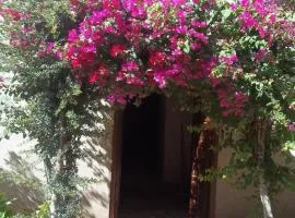 Nour El Gourna