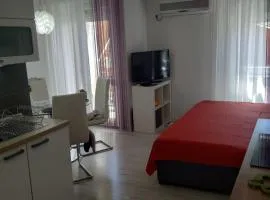Apartman Viola Mareda