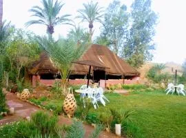 Paradise in the southern desert Morocco