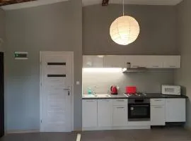 Apartament pod Sosnami 2 noclegi OTW Borówno WLK Skarszewy
