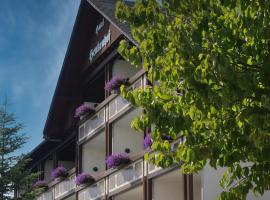 Landhotel Henkenhof Willingen, hotel a Willingen