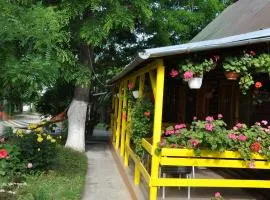 Pensiunea Rustic