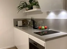 Designer Loft Apartment in Delft city new 38B