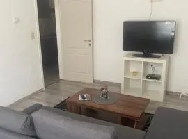 Magnifique Appart pour 4 personnes complètement reno