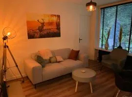 Bonte Specht: tot rust komen in de natuur!