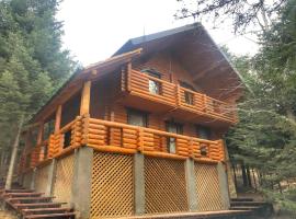 Коттедж Luky, villa in Migovo