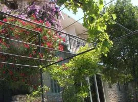 Apartments Stari Pavle
