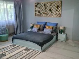 Zorilor Cactus Apartment