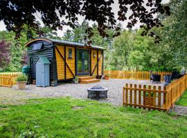 Woodpeckers, luxury tent in Llandrindod Wells