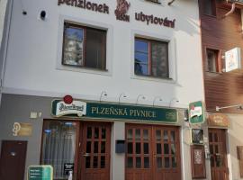 Ubytování nad Bisonem, hótel í Hlinsko