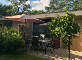 Rode Eekhoorn: genieten met de dieren in het bos!