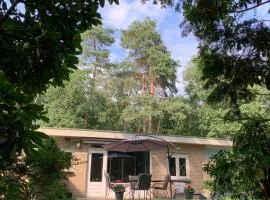 Gouden Hert: relaxen in comfort! #otterlo #hogeveluwe